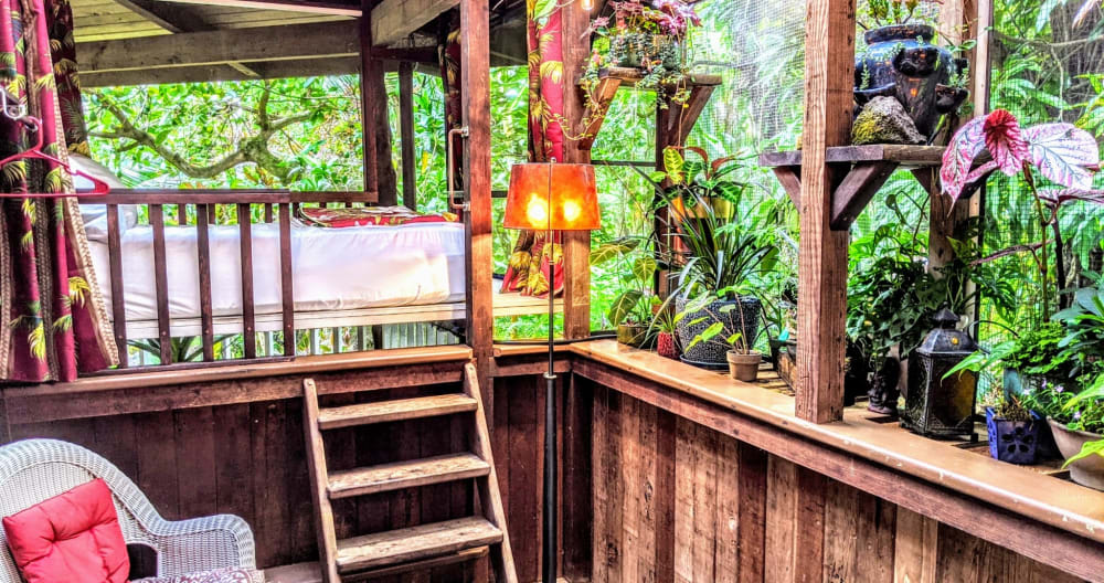 Kehena Beach - Gay/LGBTQIA+ Vestuário opcional - Quarto no jardim - Foto 1