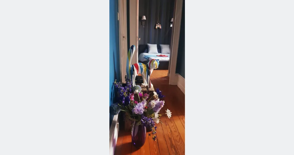 Private room in an apartment in the heart of Chalon-sur-Saône - Picture 1