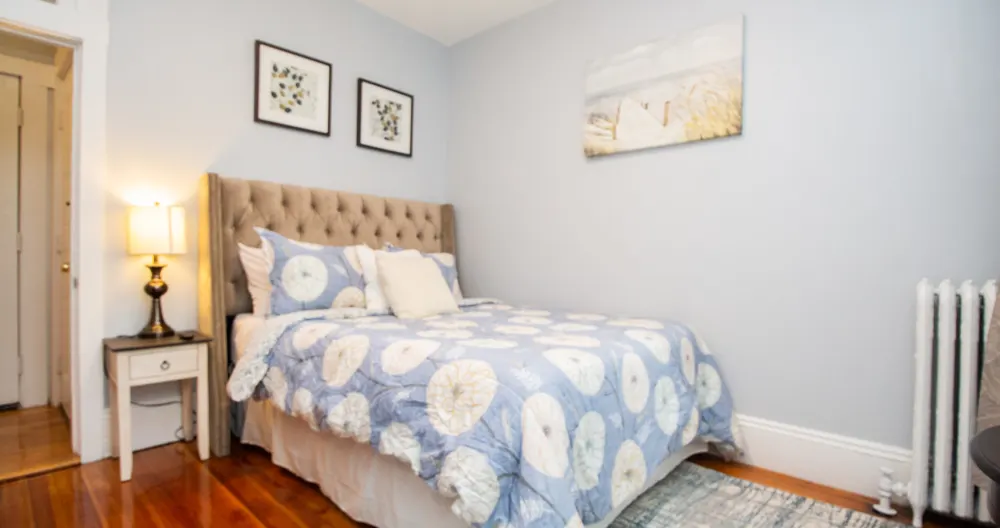 Sun-filled Newly Renovated 1Bed, MBTA - Picture 1