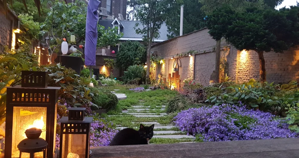 B&B Guesthouse Leman, simply an experience - Picture 1