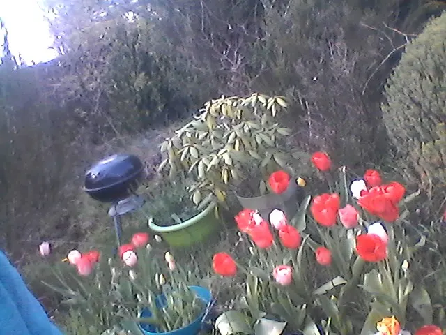 maison de campagne - Photo 2