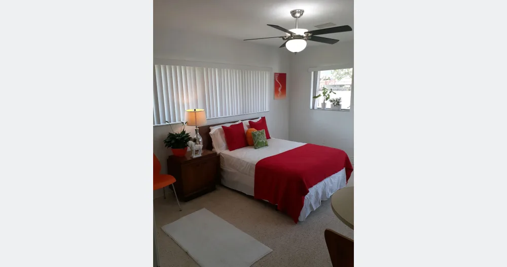 The Edplex - Picture 2
