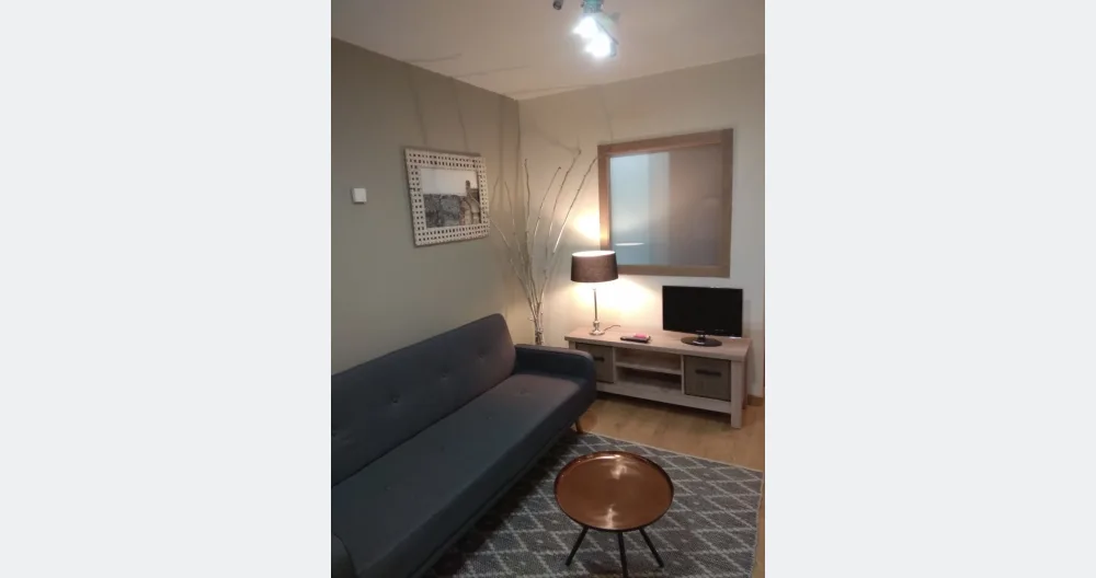 nice apartment in the center of vigo - Picture 1