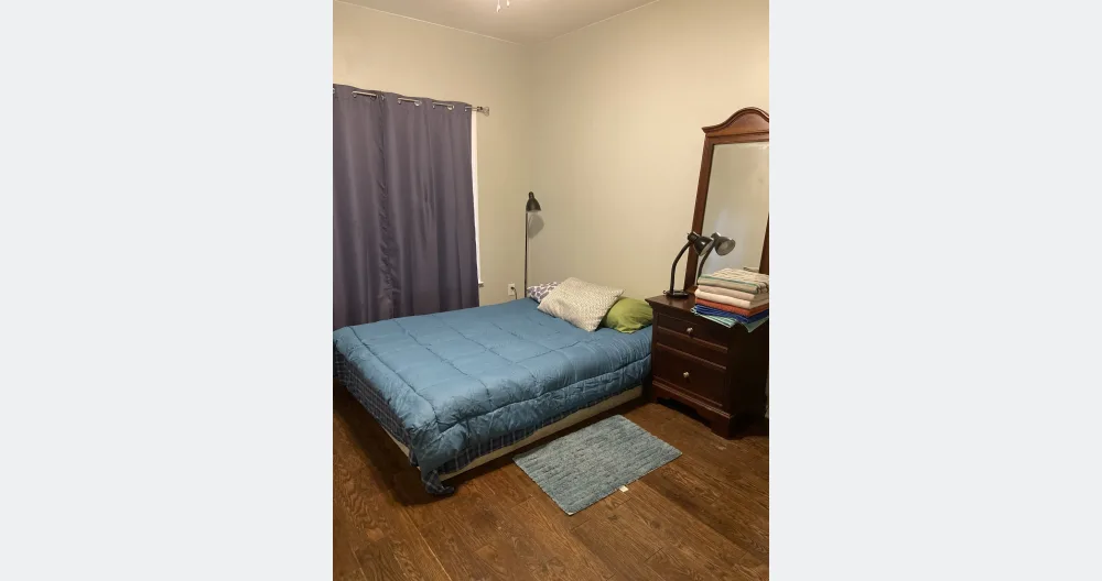 Private room and Bath near downtown - Picture 3