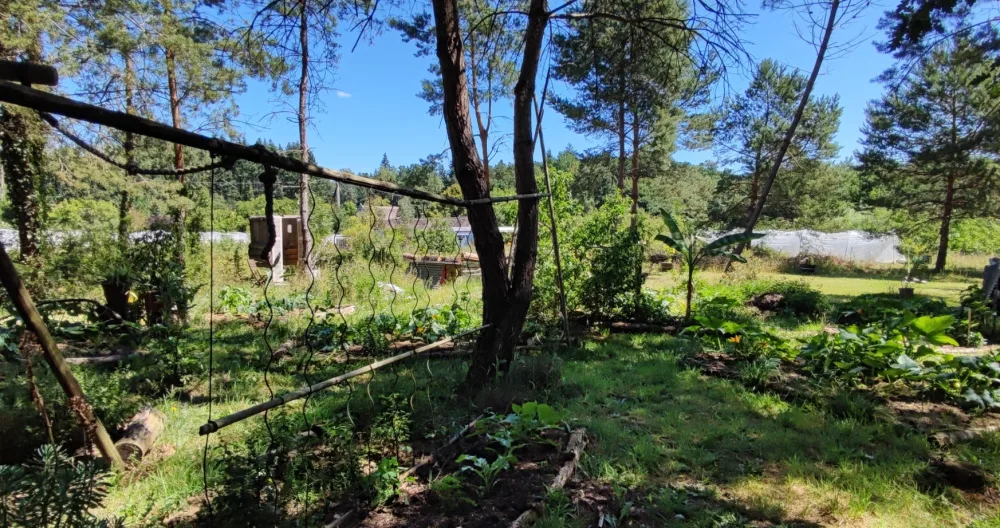 Camping à la ferme - Photo 2