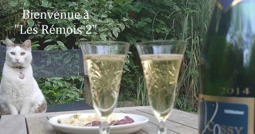 The Remois 2 - Picture 1
