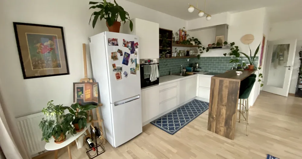 Spacious Flat near River Side - Picture 2