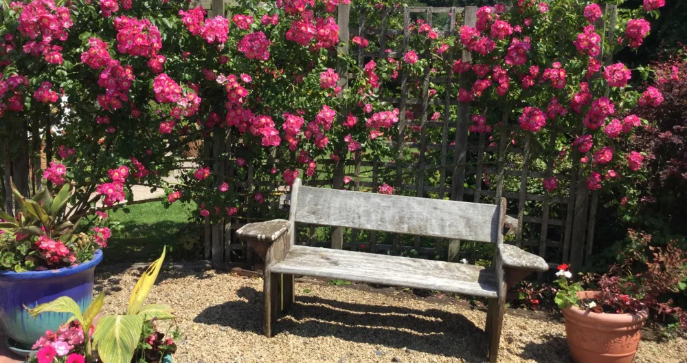Wunderschönes BnB mit wunderschönem Garten und barrierefreien und Standardzimmern, - Foto 1