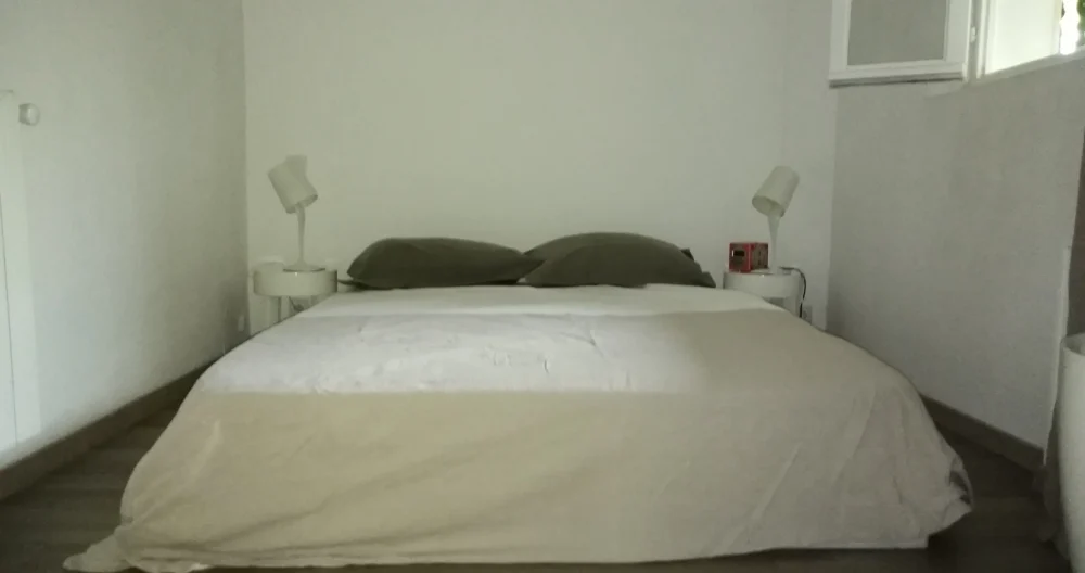 APARTMENT WITH GARDEN IN HOUSE - Picture 1
