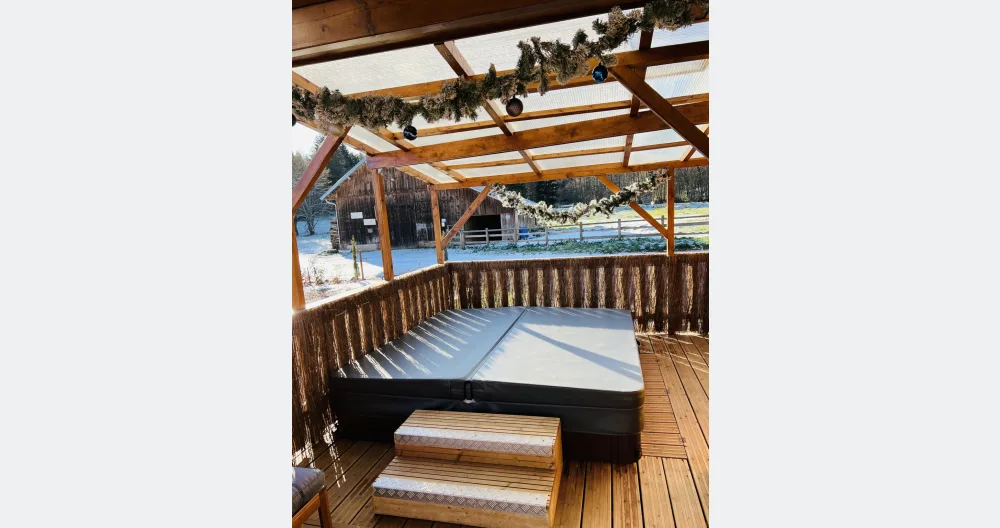 Wooden chalet with private spa in the Vosges - Picture 2