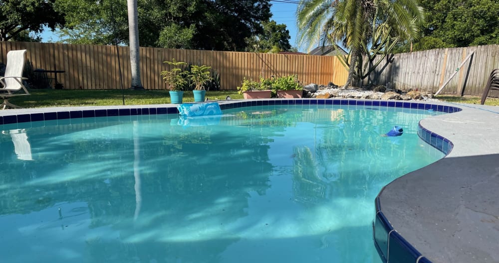 Micheal's listing on misterb&b - Relax in the backyard oasis. 