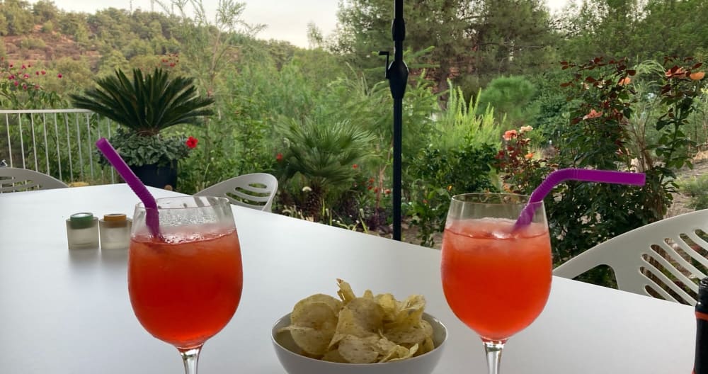 Annonce de Gabriel & Damien sur misterb&b - Enjoy an aperitif with us