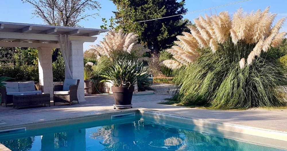 IL SARACENO Bed and Breakfast - Picture 1