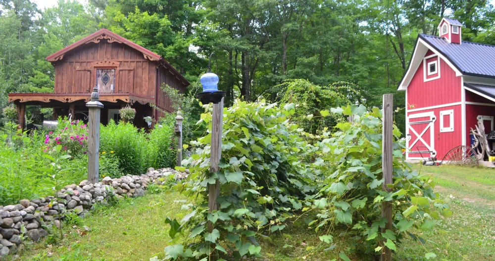 Amazing Wilderness Cabin Retreat - Picture 1