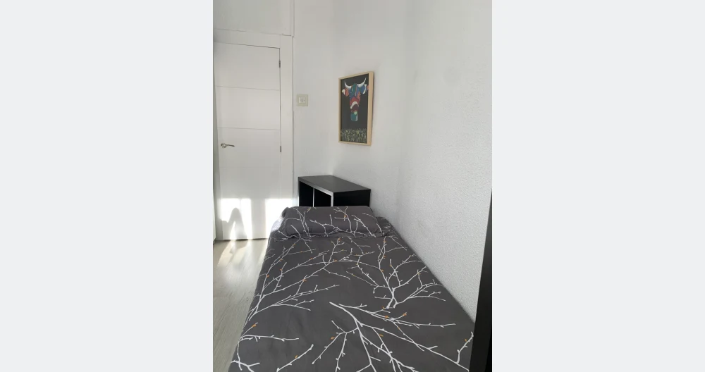 Room/ room Tetuan, Madrid - Picture 3