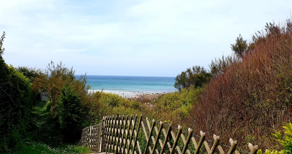 Beach chalet with your feet in the water! - Picture 1