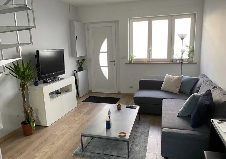 Comfortable house near downtown - Picture 1