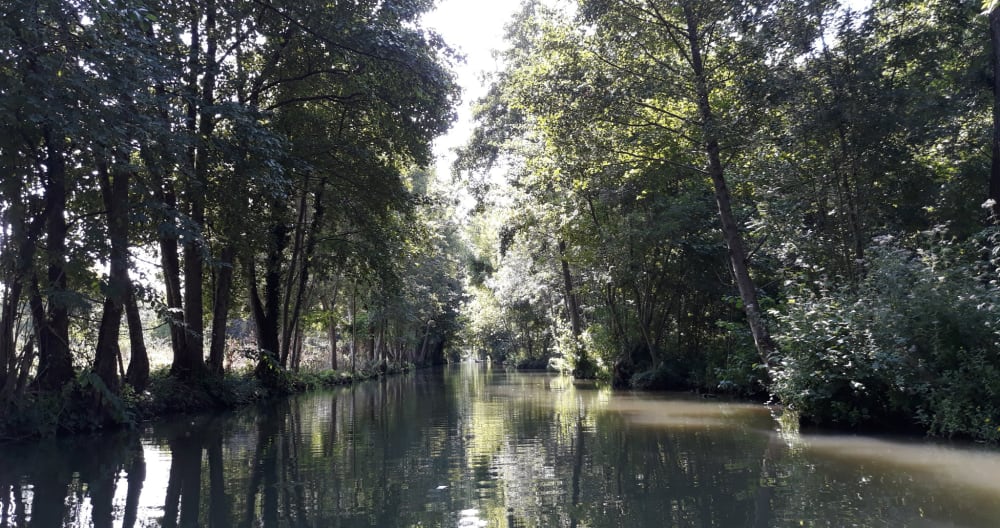 Chambre chez nous au cœur du marais poitevin - Photo 2