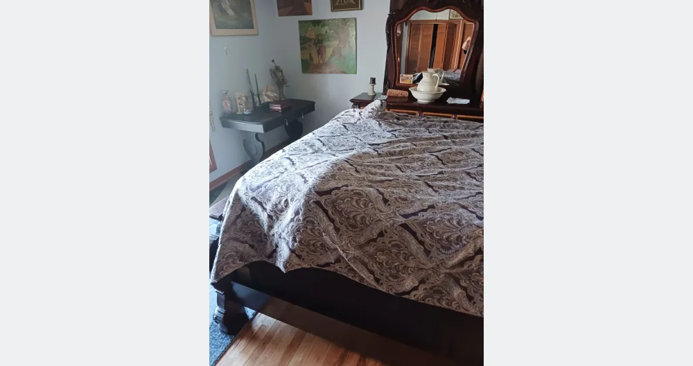 Room with shared bathroom and house privileges  - Picture 2