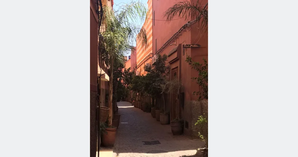Anuncio de Carolin en misterb&b - YVES Marrakech Derb Arset Aouzal Road