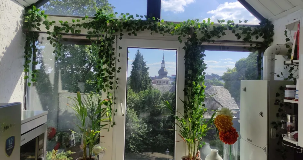 Altstadt Flair mit Aussicht - Foto 1