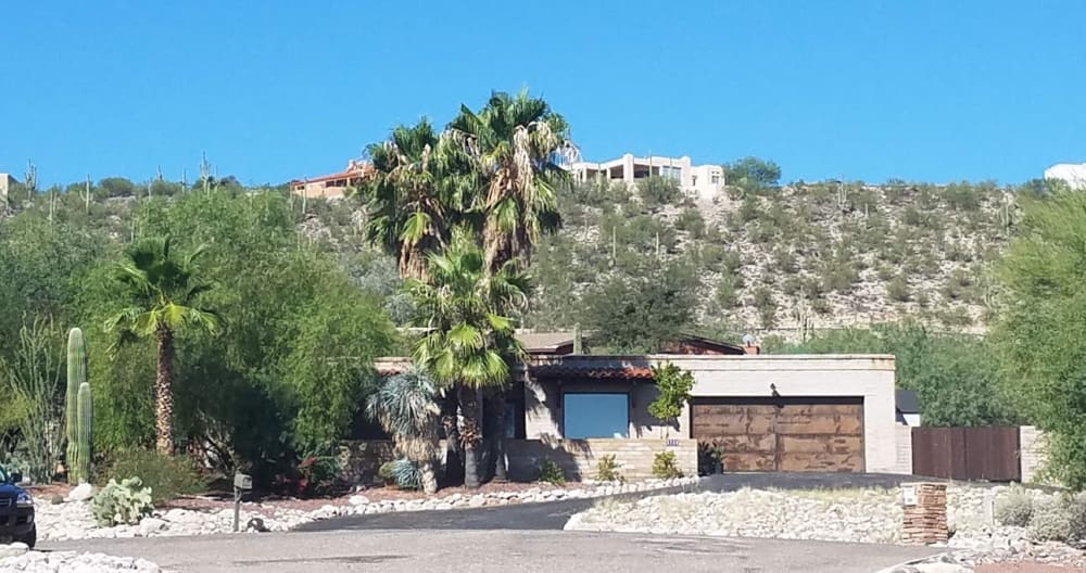 Fünf Palmen im Sabino Canyon - Foto 1