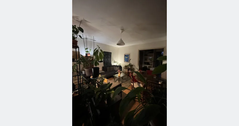 Camera privata con giovane coppia di studenti - Foto 2