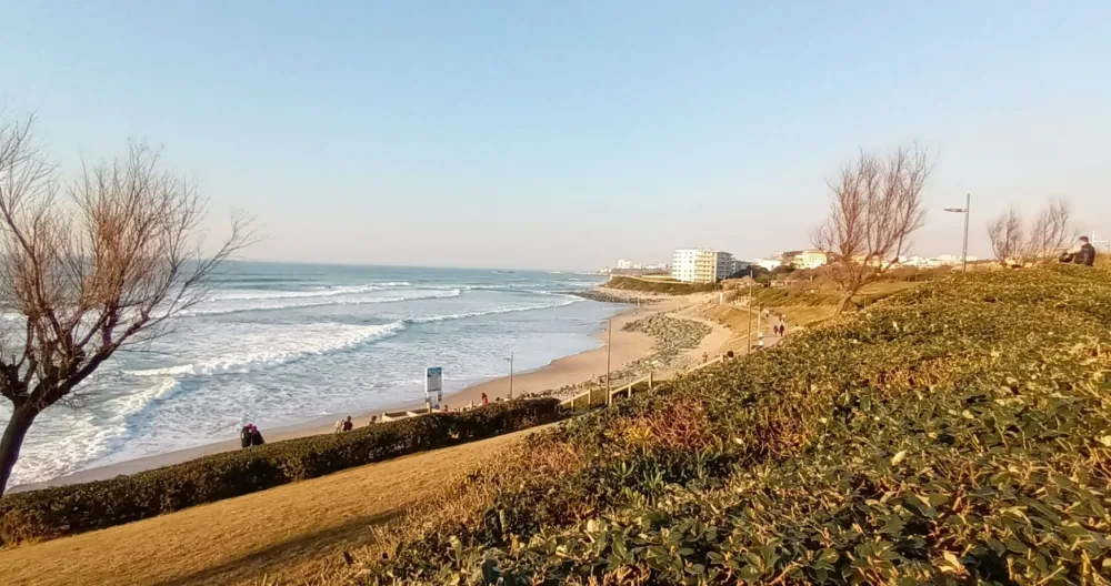 Annonce de Robert sur misterb&b - Plage d'Ilbarritz