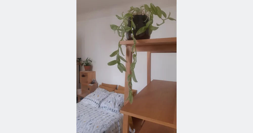 Cecile's listing on misterb&b - ta chambre