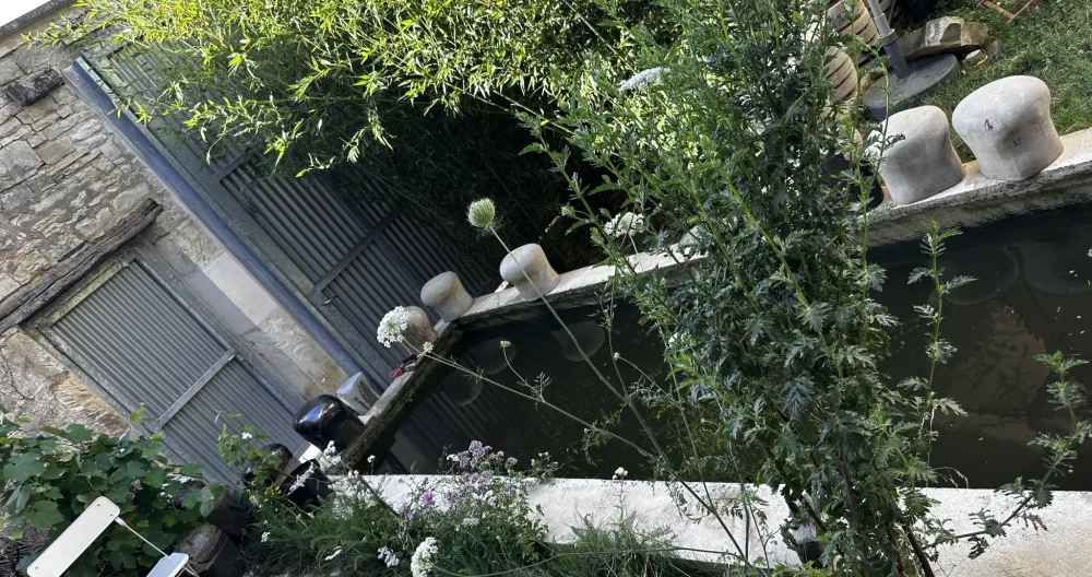 On the banks of a river Very quiet room on 3 levels patio garden - Picture 1