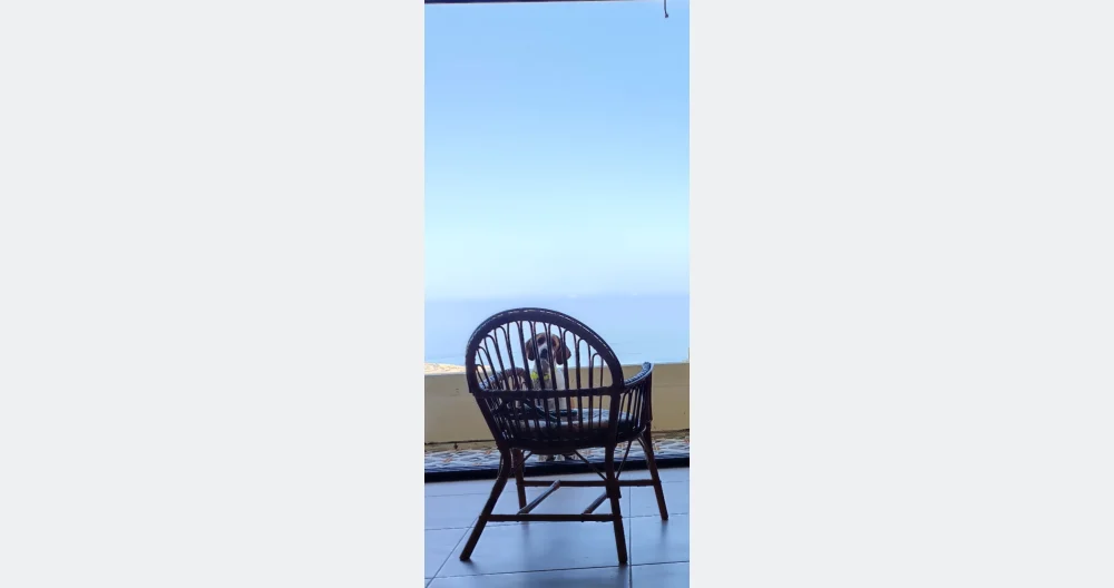 Matthew's listing on misterb&b - Tommy