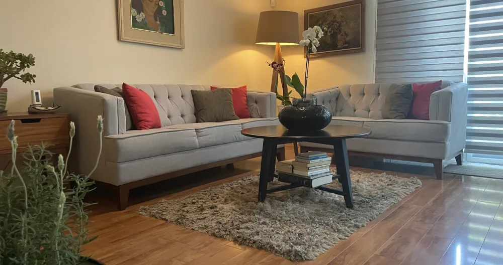 CESAR ERNESTO's listing on misterb&b - Sala