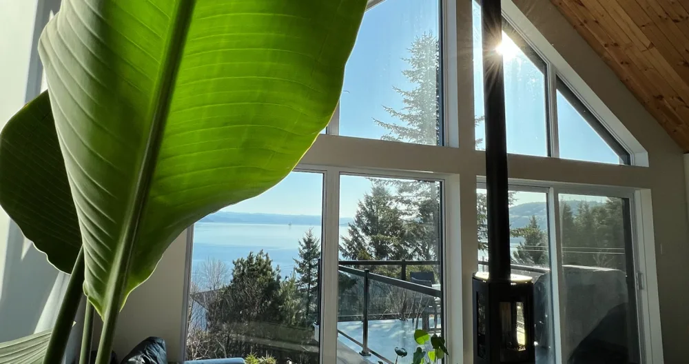 JF's listing on misterb&b - View