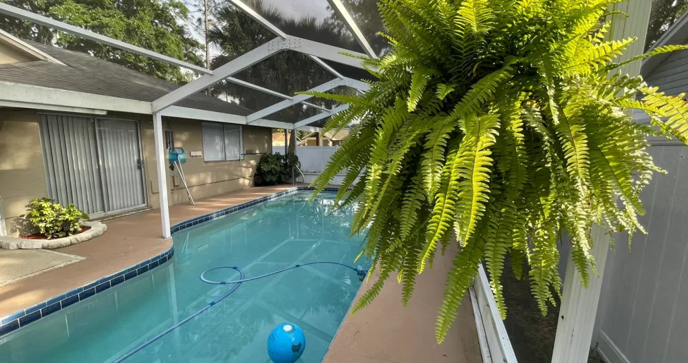Comfortable private room with pool and patio - Picture 2