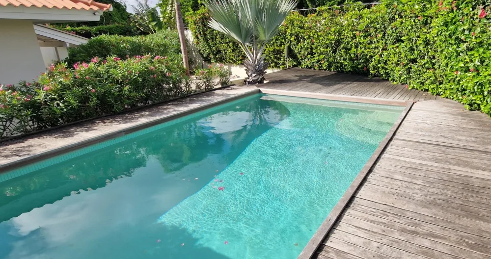 Apartment close to popular Mambo Beach Boulevard - Picture 1