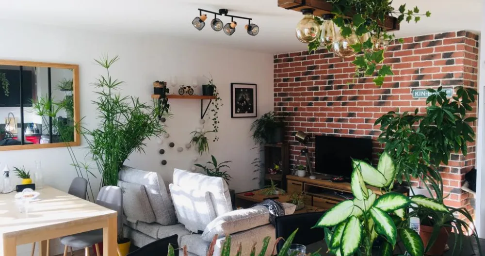 Room in a bright apartment 20 minutes from downtown - Picture 1
