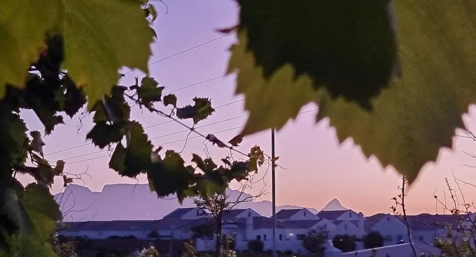 Christophers Inserat auf misterb&b - Unwind by the pool as the sky transforms into a canvas of gold, pink, and violet hues, framing breathtaking mountain silhouettes. The warm glow reflects on the water, creating a tranquil, picture-perfect retreat. Experience Cape Town’s magical sunset
