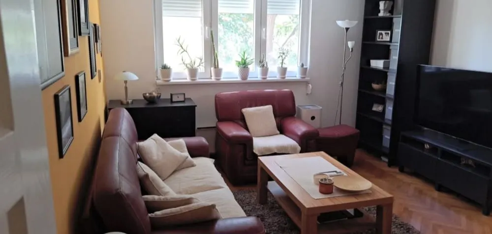 Cosy flat in Belgrade - Picture 2