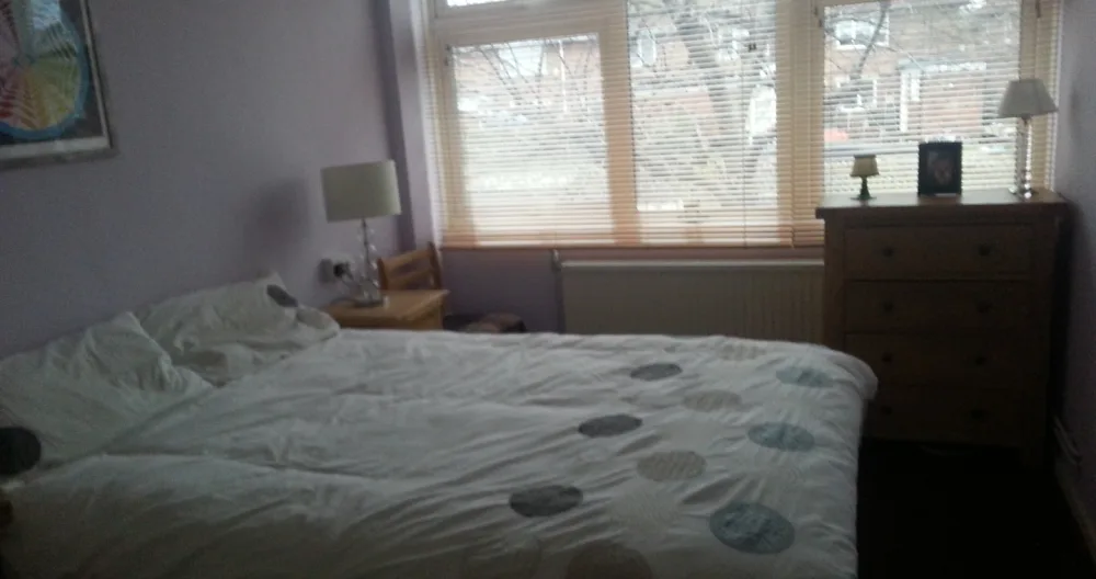 Chambre lumineuse et aérée dans un appartement confortable du sud-est de Londres - Photo 1