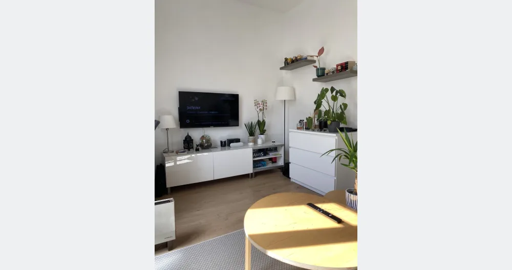 Beautiful shared studio - Picture 2