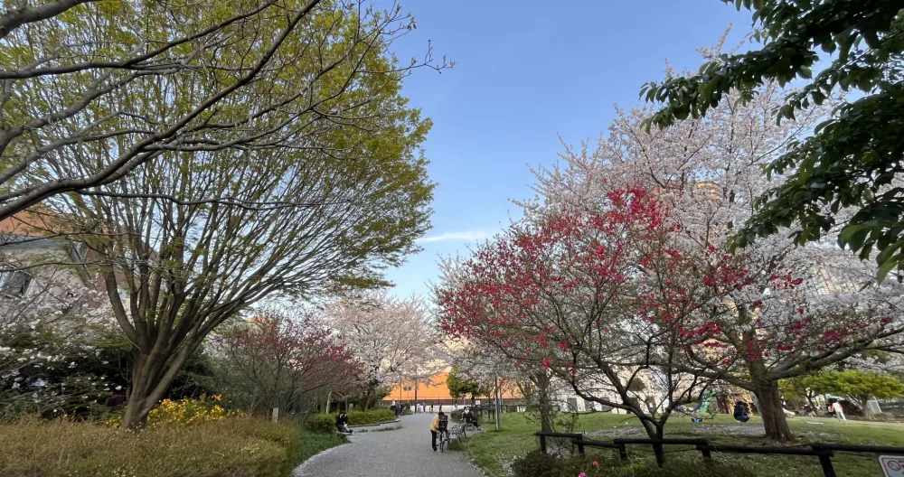 Gartenplatz Tomihisa Shinjuku - Foto 12