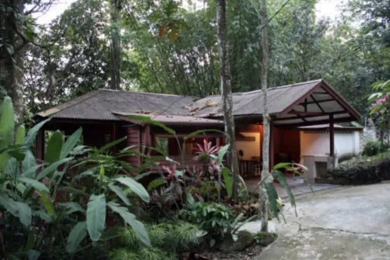 Escapada a la selva en las afueras de Kuala Lumpur - The Cottage - Foto 5