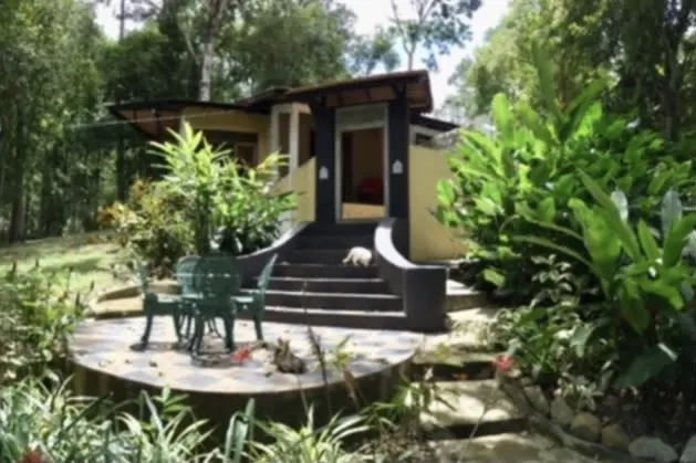 Jungle getaway outside Kuala Lumpur - The Shack - Picture 5