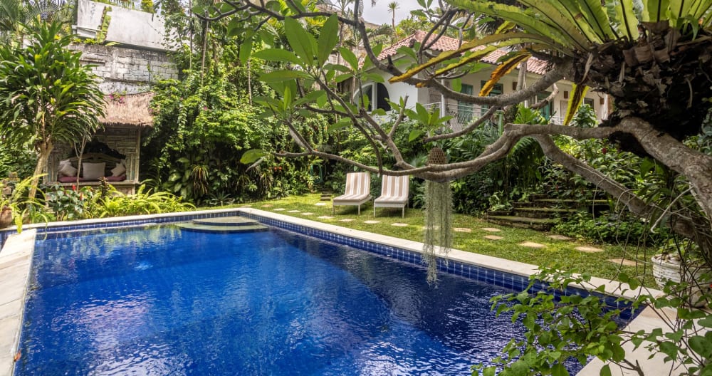 Bright & Breezy!Superb gardens,jungle/river views. - Picture 1