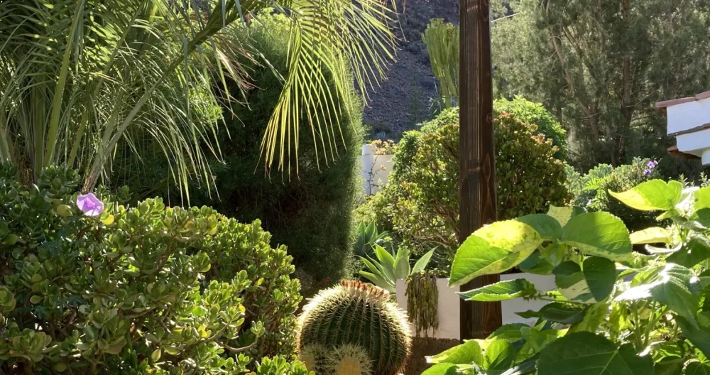 Studio nel "Palomar". - Foto 1
