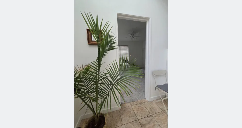 Excellent location in the heart of uptown.  - Picture 7
