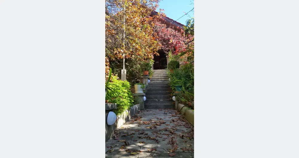 Villa degli anni '20 in una tranquilla zona verde a 4 km dal centro di Melbourne - Foto 2