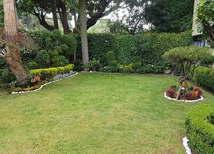 Beautiful apartment three blocks from the historic center of Coyoacan, - Picture 2