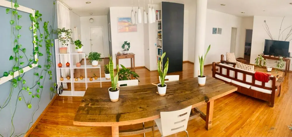 Privacy and comfort in a beautiful apartment in Polanco - Picture 1