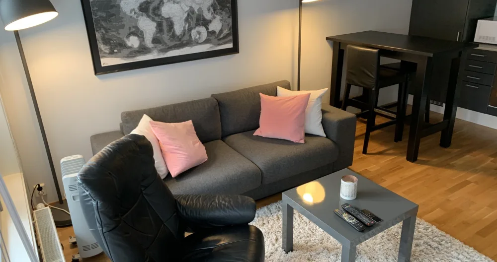 Bel appartement nu dans le centre d'Oslo - Photo 2
